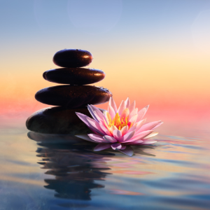 stacked rocks with water lily